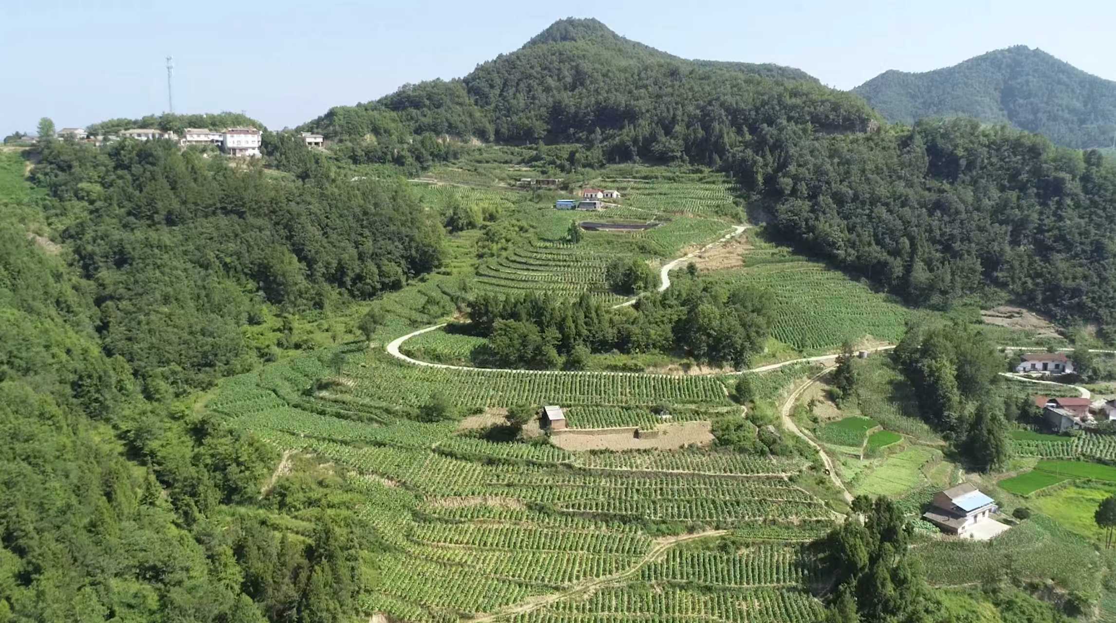 20250822104153280-35-8c363.jpg 20250822104153280-35-8c363.jpg