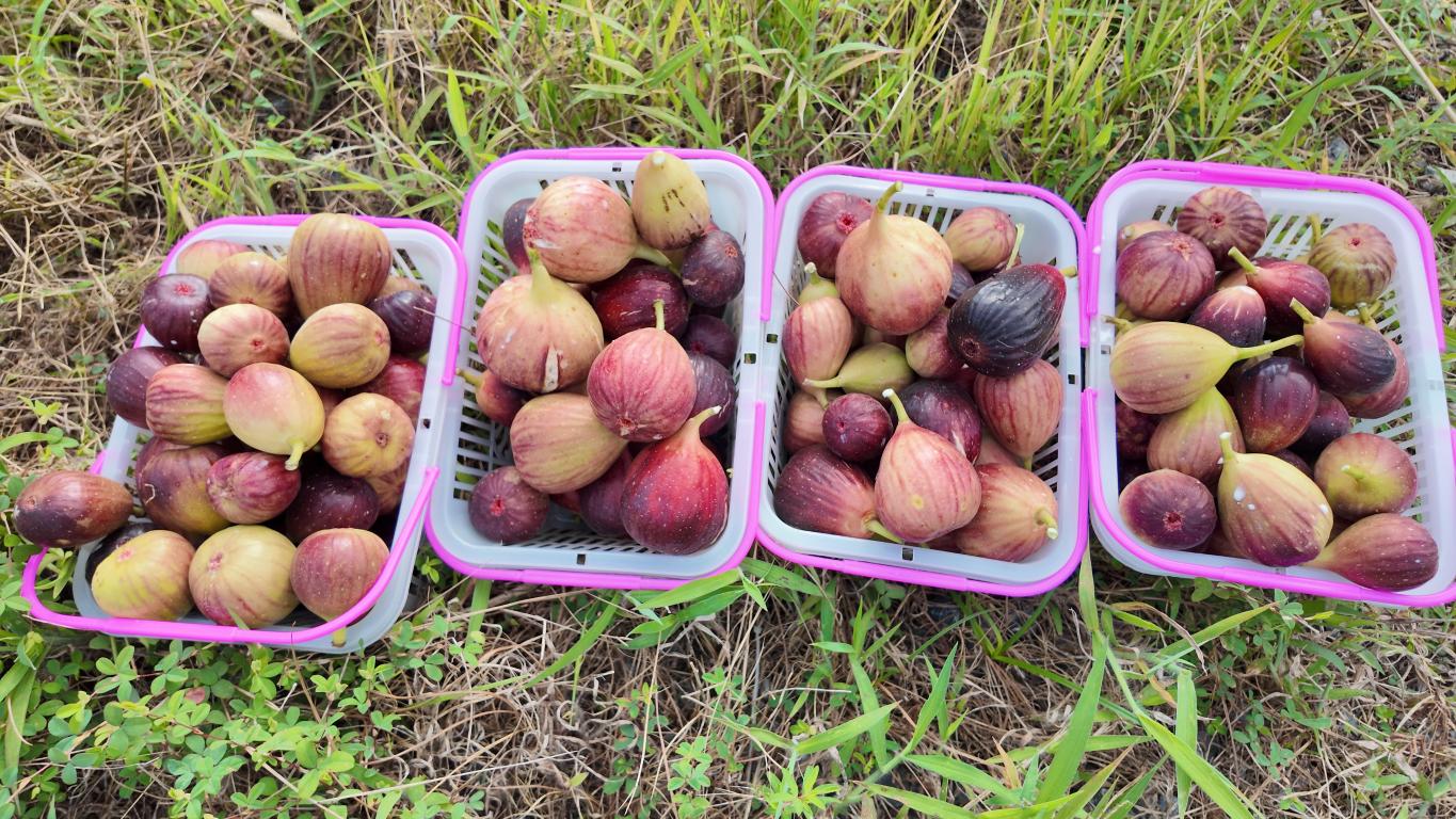 20250826110933174-63-55164.jpg_scale.jpg 20250826110933174-63-55164.jpg_scale.jpg