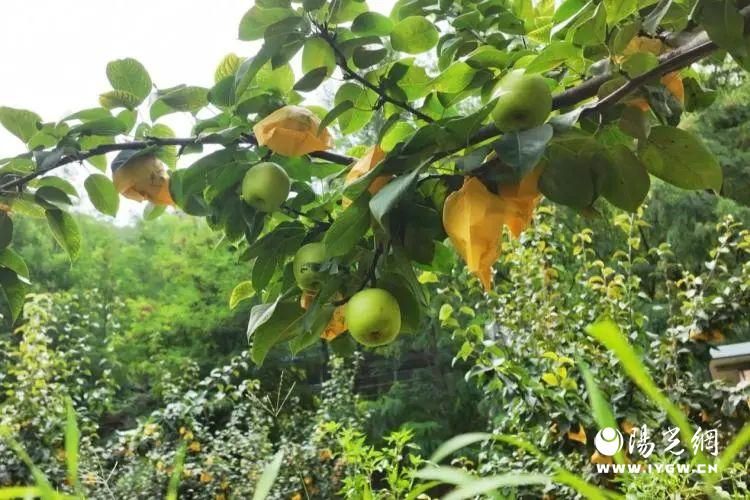 20250826152221178-21-5997c.jpg 20250826152221178-21-5997c.jpg