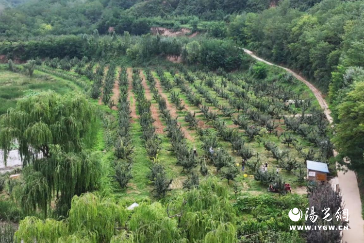 20250826152224968-12-247f1.png 20250826152224968-12-247f1.png