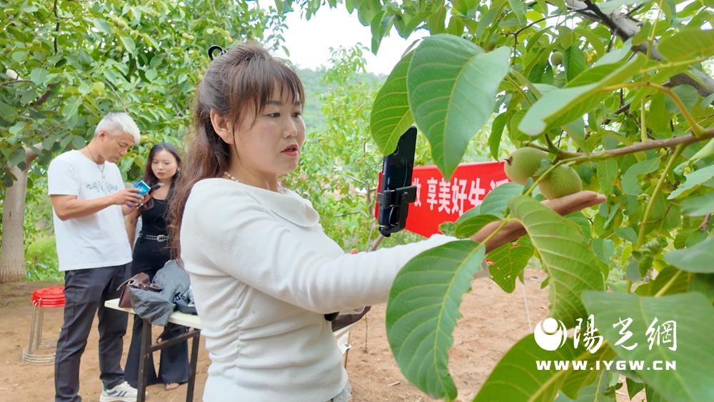 20250827172626899-98-b1ee6.jpg 20250827172626899-98-b1ee6.jpg