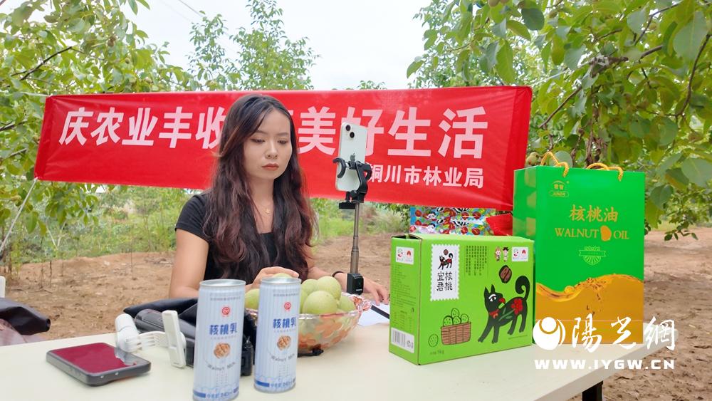 20250827172630895-45-3acba.jpg 20250827172630895-45-3acba.jpg