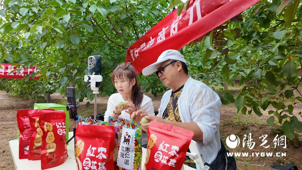 20250827172640873-84-904c7.jpg 20250827172640873-84-904c7.jpg