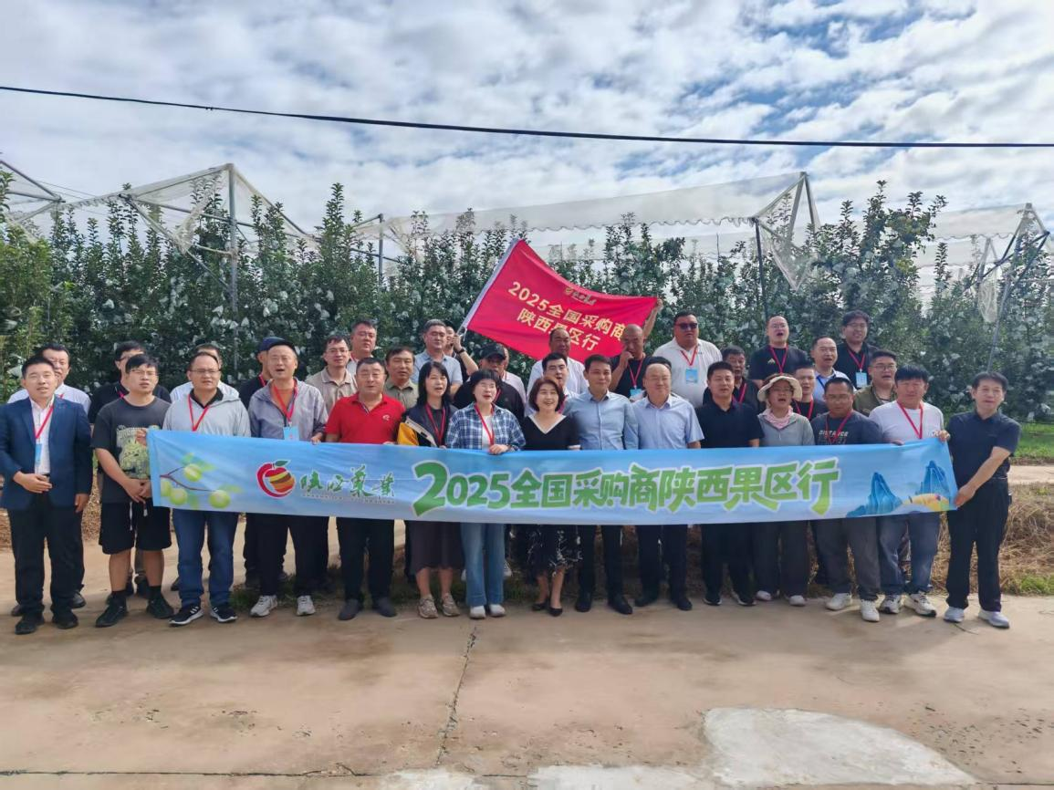 20250827174301575-63-62536.png 20250827174301575-63-62536.png