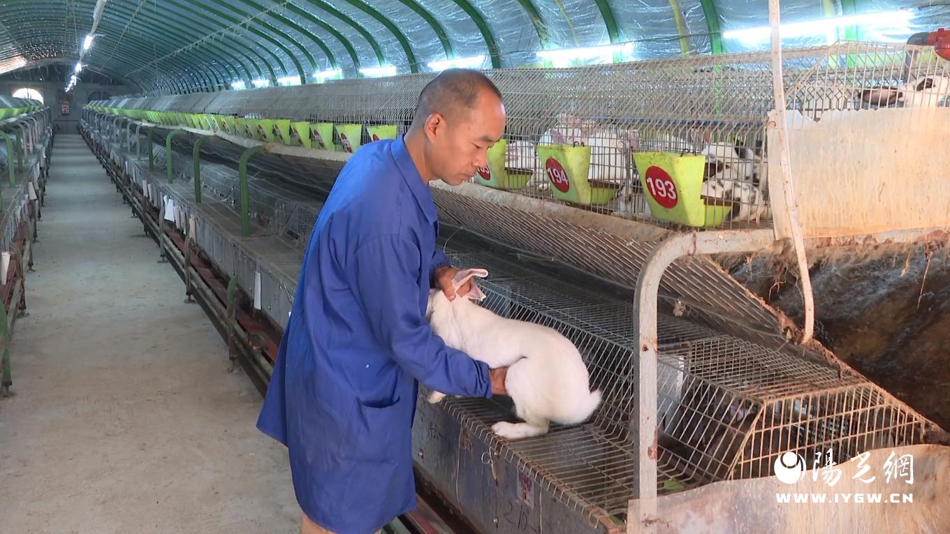 20250827174710252-73-b9227.jpg_scale.jpg 20250827174710252-73-b9227.jpg_scale.jpg