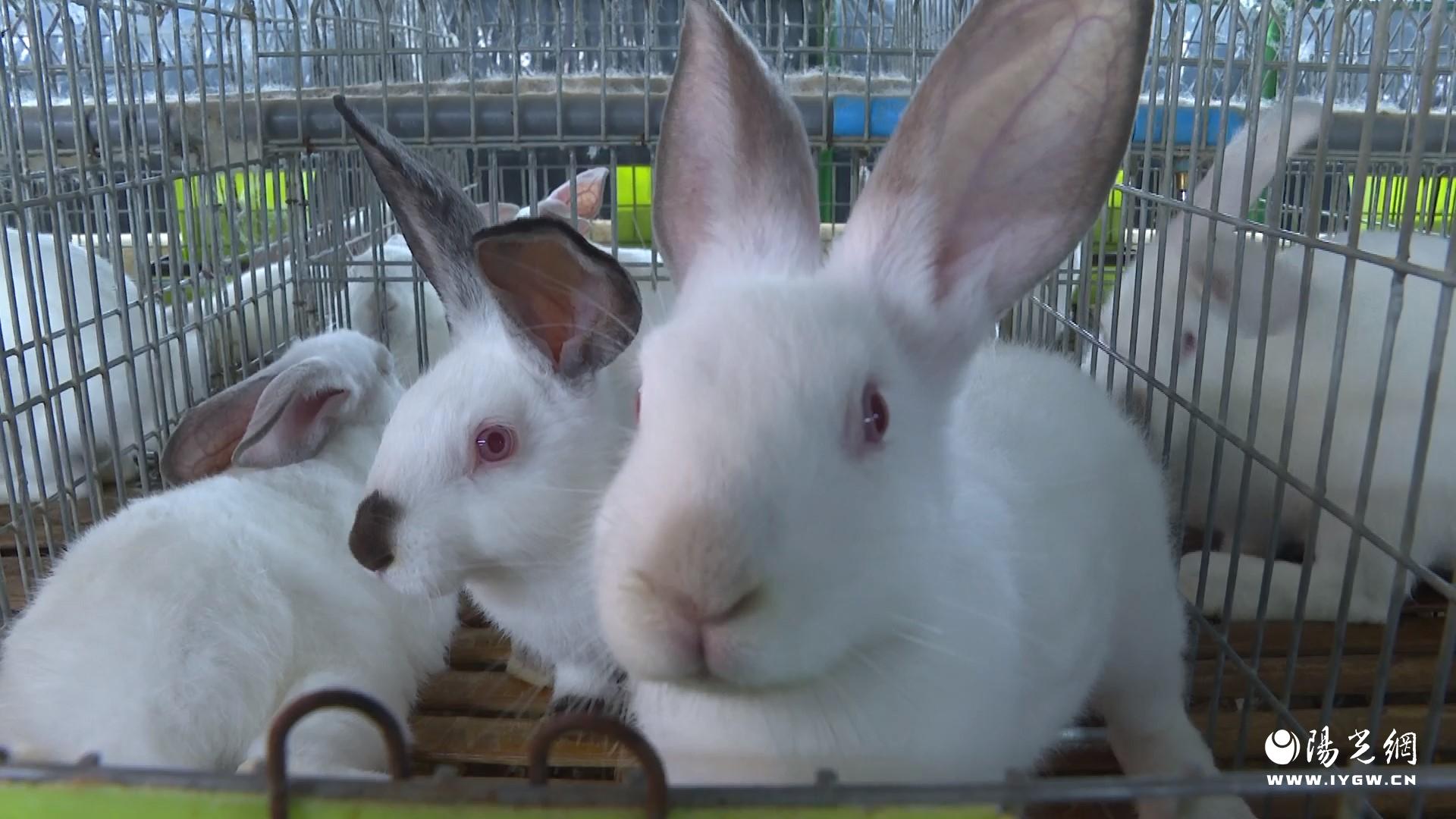 20250827174714029-43-3fd42.jpg 20250827174714029-43-3fd42.jpg