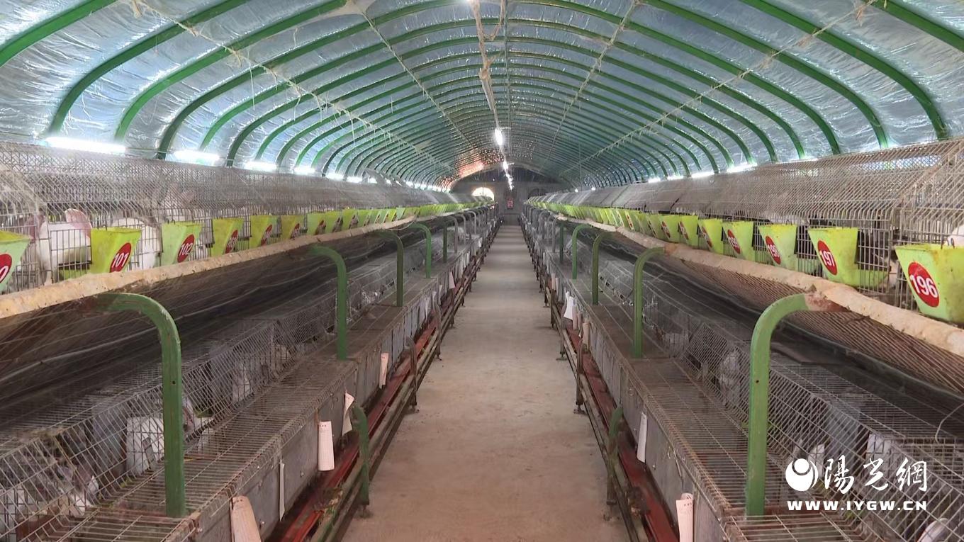 20250827174717970-24-acd66.jpg_scale.jpg 20250827174717970-24-acd66.jpg_scale.jpg