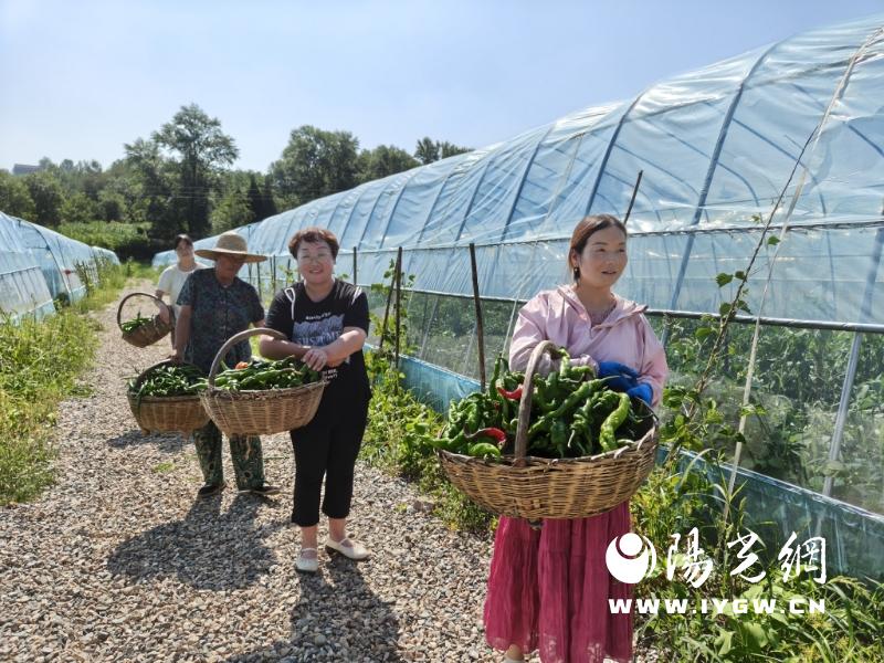 20250828141741125-64-c7abf.jpg 20250828141741125-64-c7abf.jpg