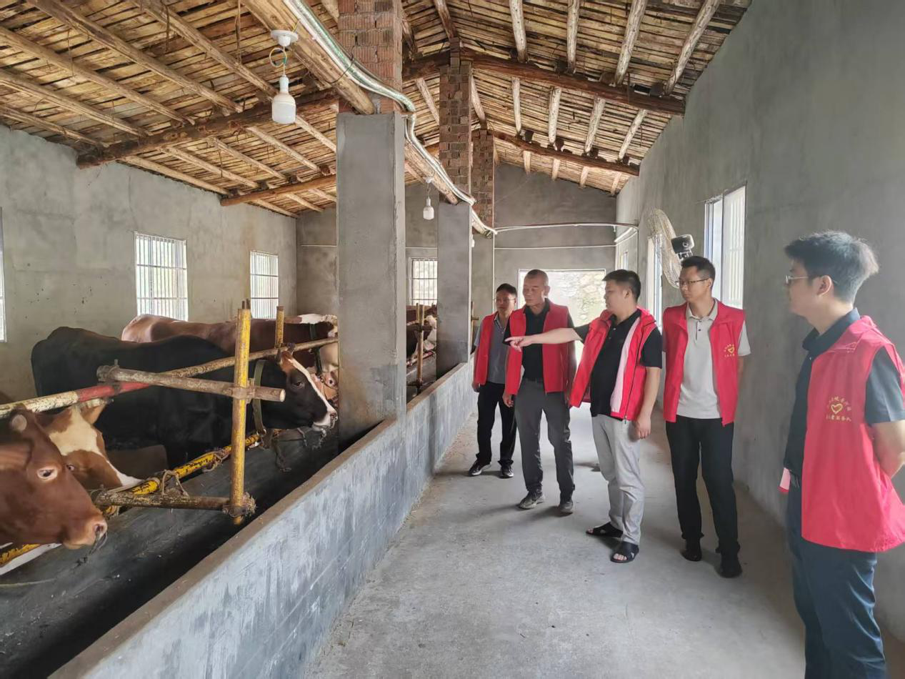 20250828160432816-27-ea8ee.png 20250828160432816-27-ea8ee.png