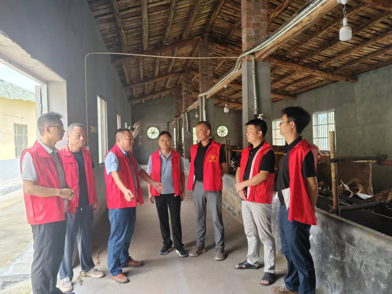 20250828160500312-65-524ad.png 20250828160500312-65-524ad.png