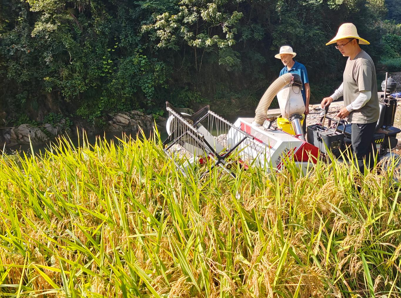 20250828210759096-85-1e77a.jpg_scale.jpg 20250828210759096-85-1e77a.jpg_scale.jpg