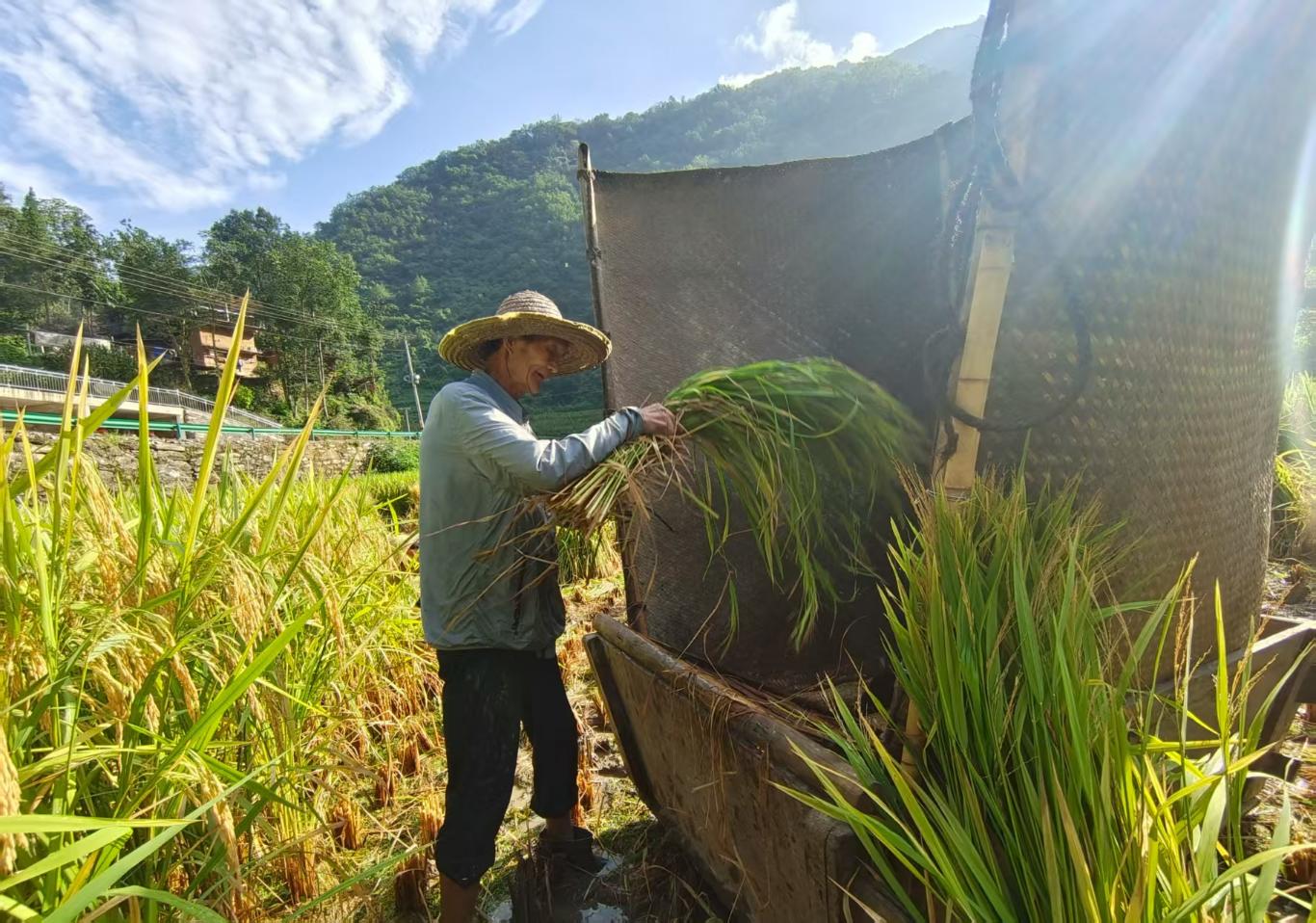 20250828210818543-76-ef5cb.jpg_scale.jpg 20250828210818543-76-ef5cb.jpg_scale.jpg