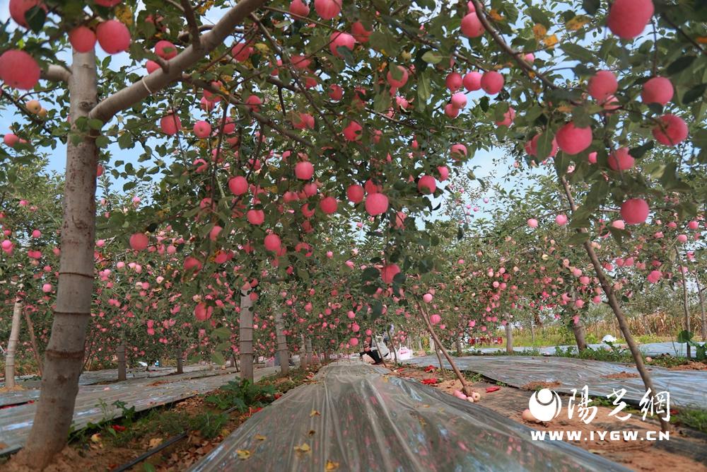 20250829152913955-74-33760.jpg 20250829152913955-74-33760.jpg