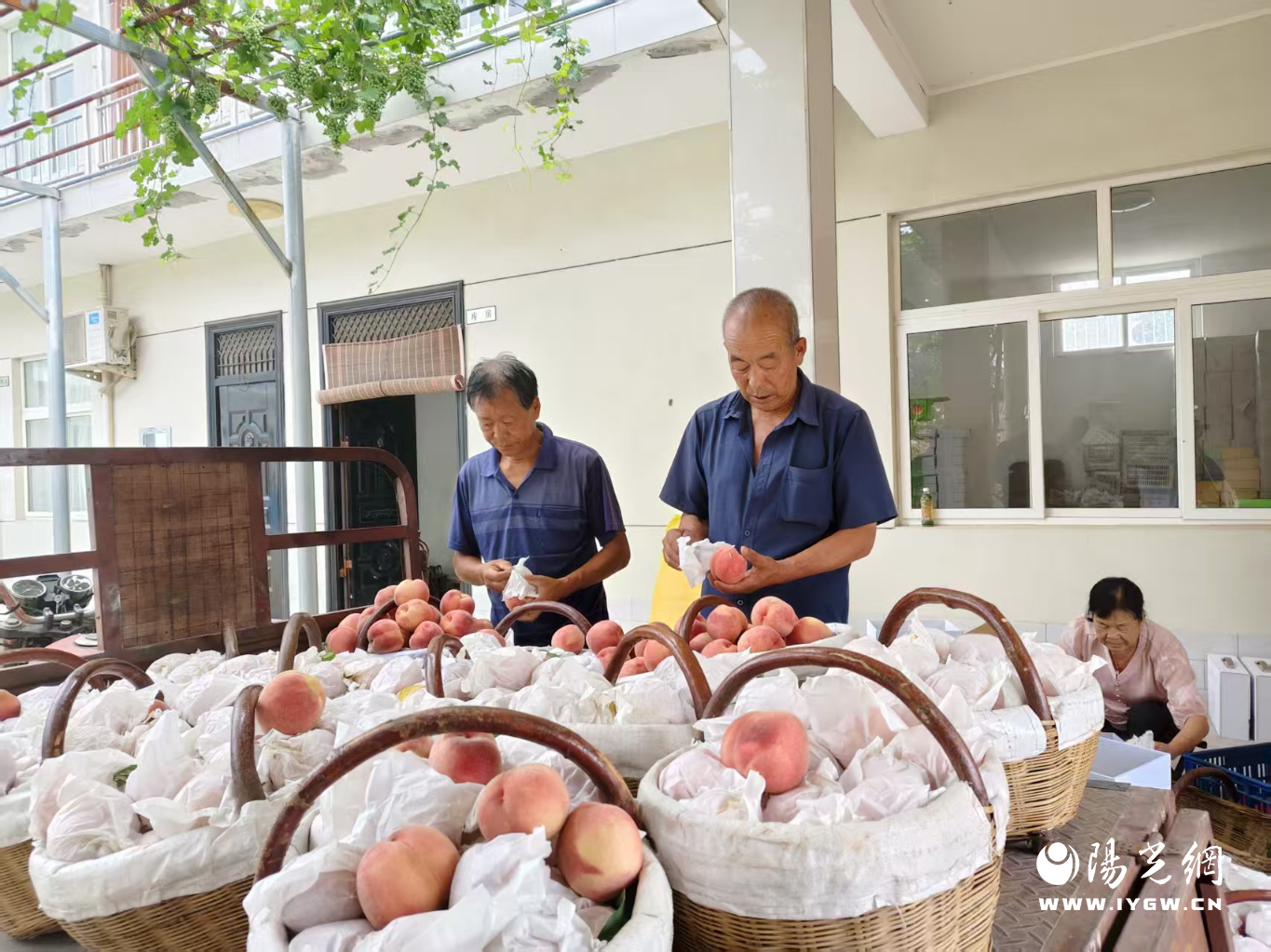 20250829154758564-84-7f368.png_scale.png 20250829154758564-84-7f368.png_scale.png