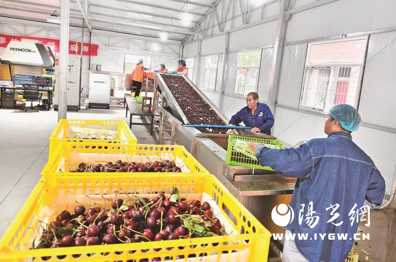 20250829154802972-10-9f658.png 20250829154802972-10-9f658.png