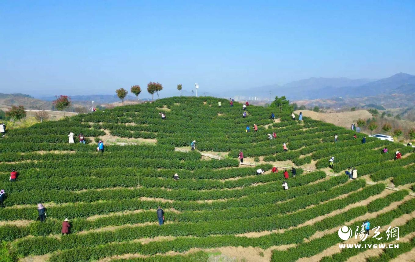 20250831140336020-58-22ed2.jpg_scale.jpg 20250831140336020-58-22ed2.jpg_scale.jpg