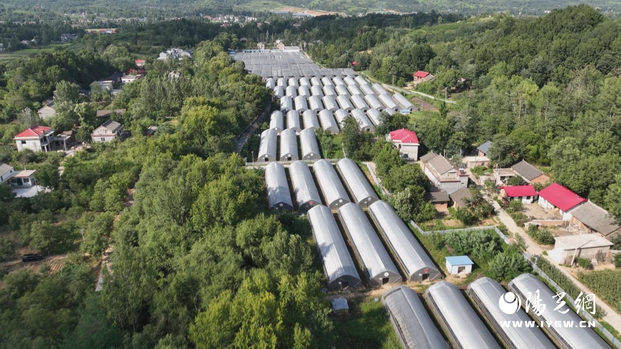 20250831140626772-14-ddf9d.jpg 20250831140626772-14-ddf9d.jpg