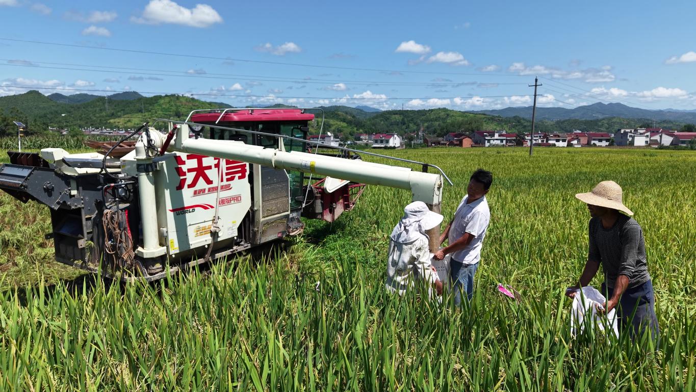 20250902101751657-87-09981.jpg_scale.jpg 20250902101751657-87-09981.jpg_scale.jpg