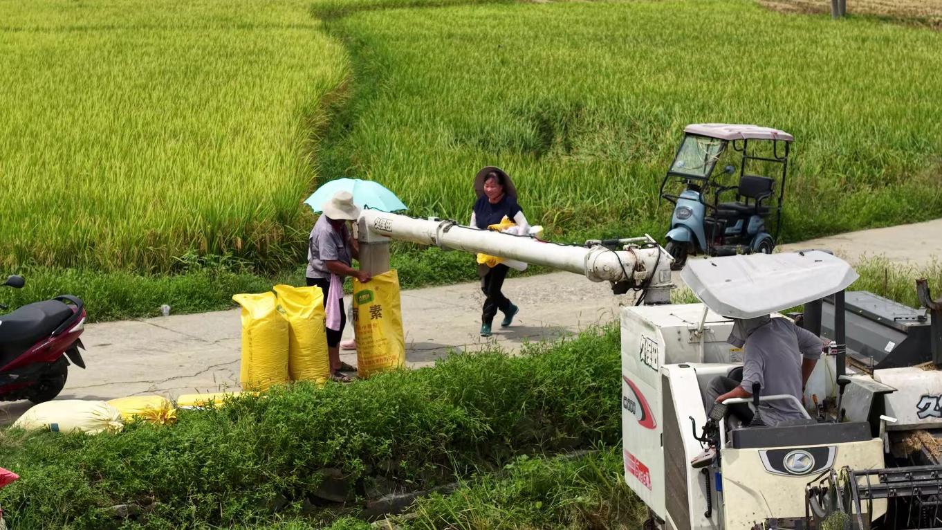 20250902101815623-74-7624a.jpg_scale.jpg 20250902101815623-74-7624a.jpg_scale.jpg