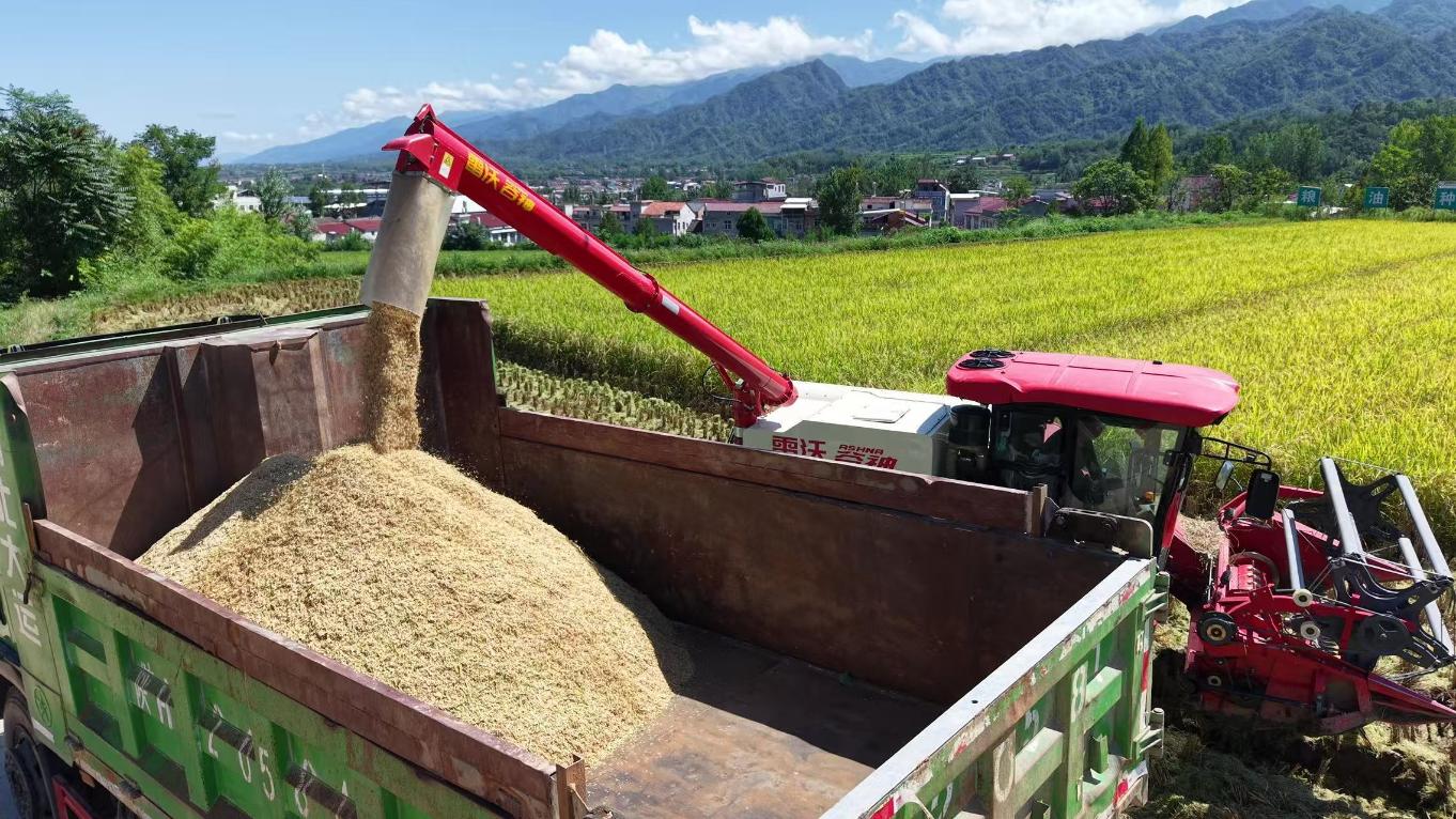 20250902101836170-59-69bd3.jpg_scale.jpg 20250902101836170-59-69bd3.jpg_scale.jpg