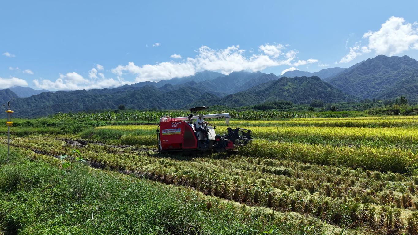 20250902101852204-66-a2f35.jpg_scale.jpg 20250902101852204-66-a2f35.jpg_scale.jpg