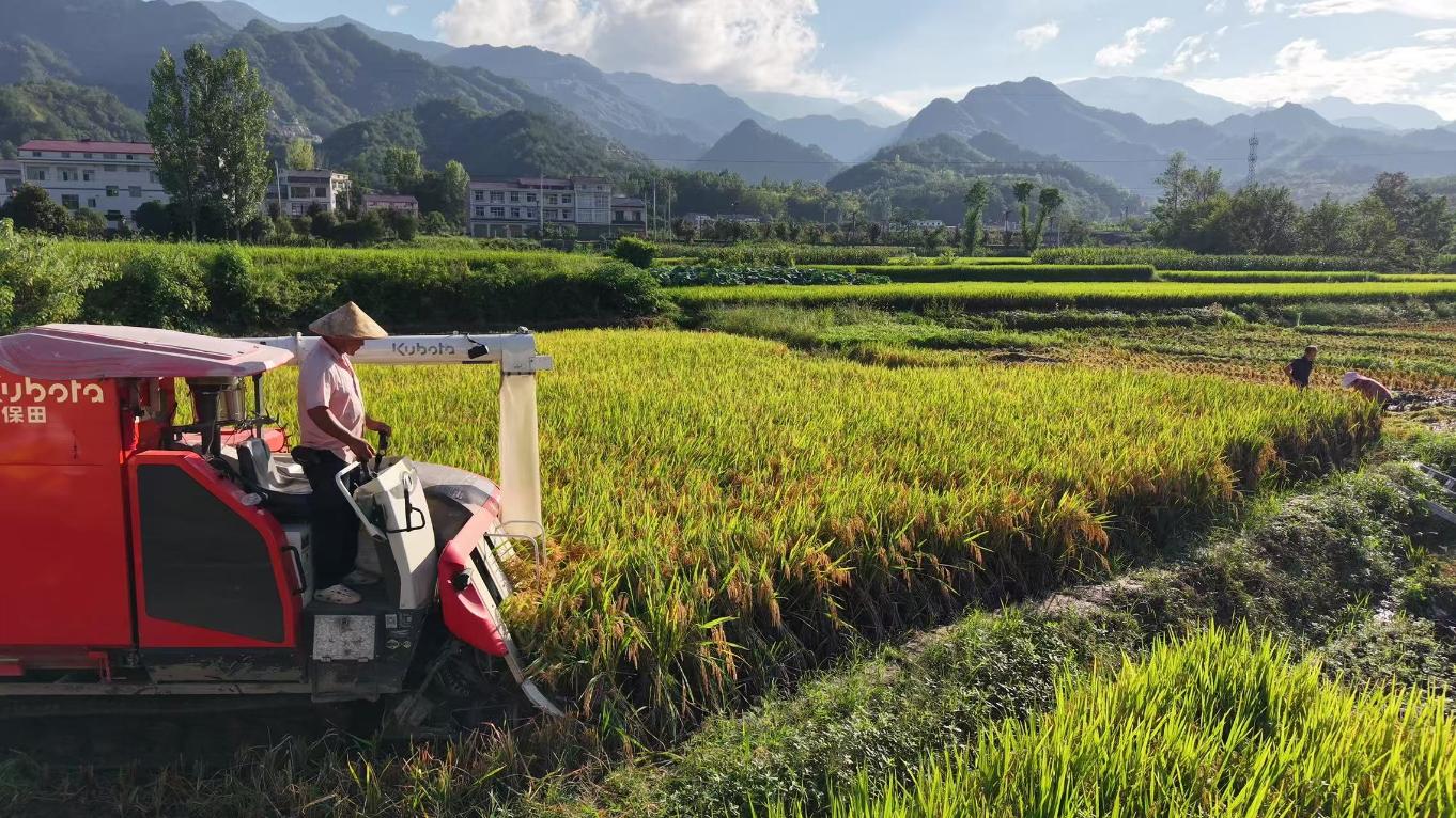 20250902101909551-72-e462a.jpg_scale.jpg 20250902101909551-72-e462a.jpg_scale.jpg