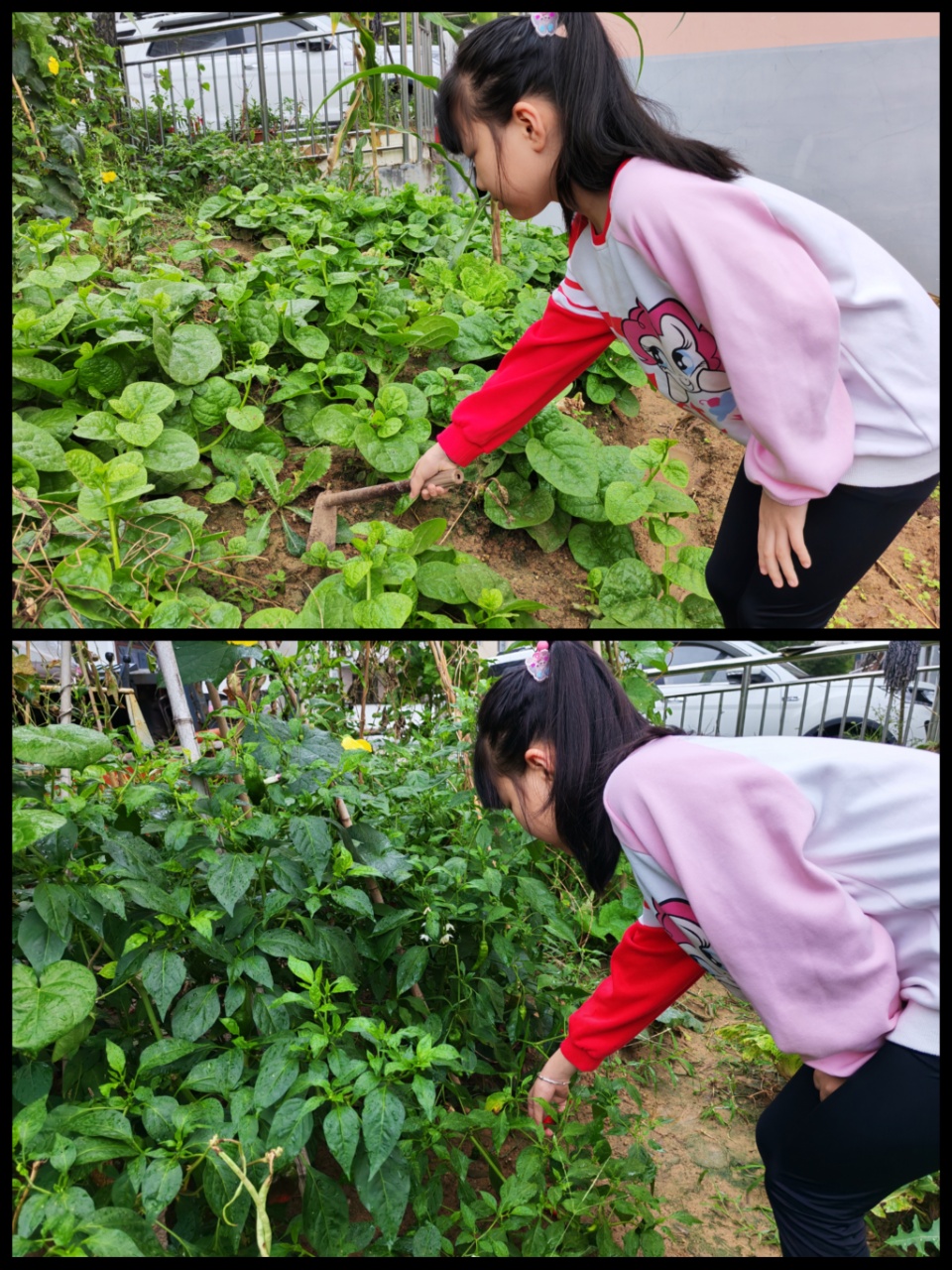 20250902154835968-15-c3310.jpg 20250902154835968-15-c3310.jpg