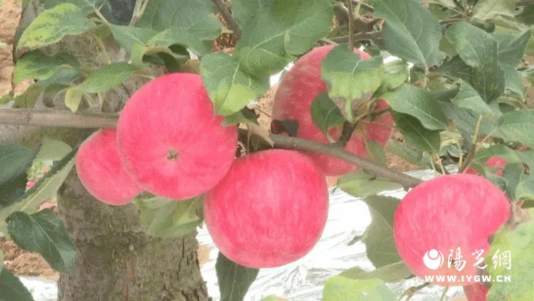 20250902200407594-60-083b6.jpg 20250902200407594-60-083b6.jpg