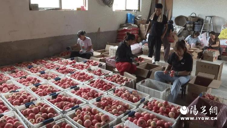 20250902200411654-74-776e8.jpg 20250902200411654-74-776e8.jpg